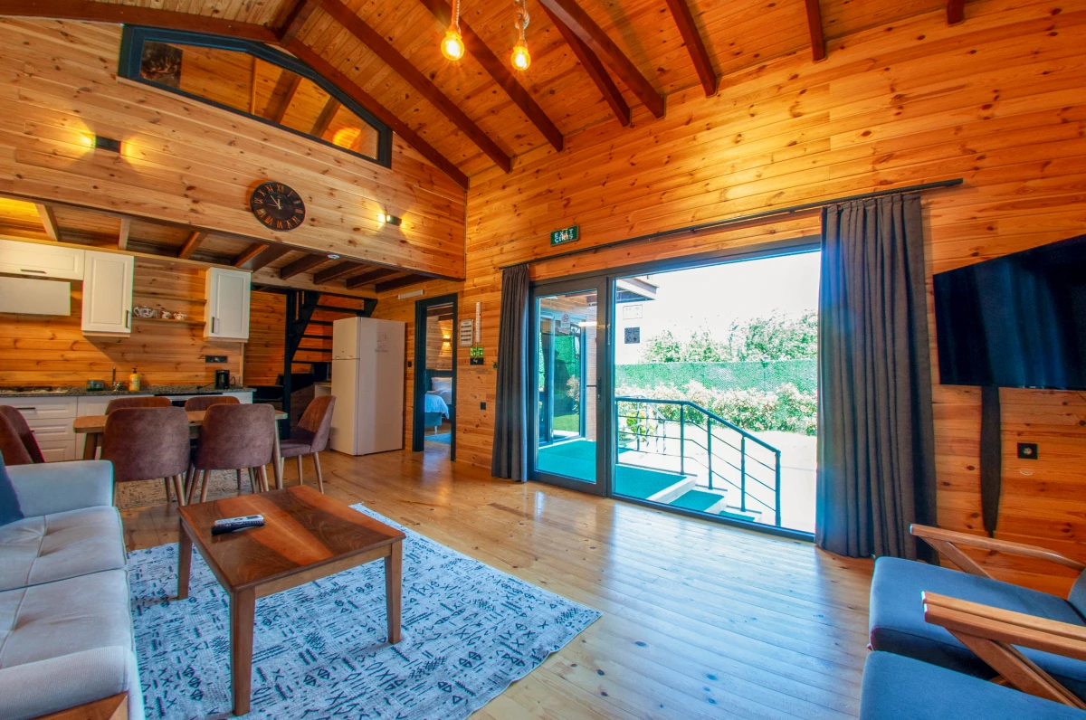 rubin-sapanca-blue-villa (16)